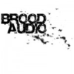Dark Knights presents Brood Nights @ Tektalk – Fri. Dec.28, 2012